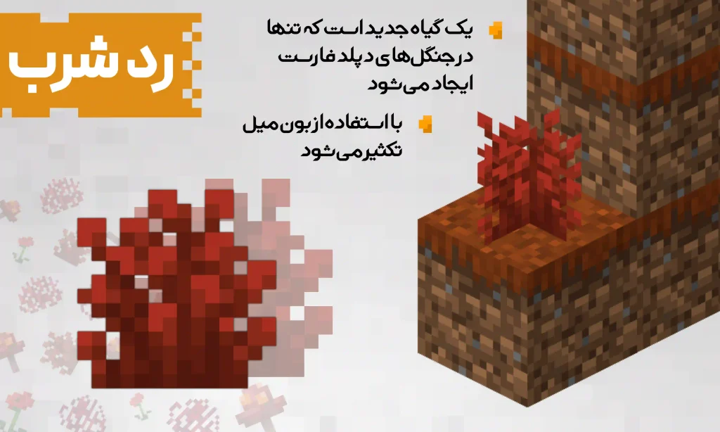 رد شرب